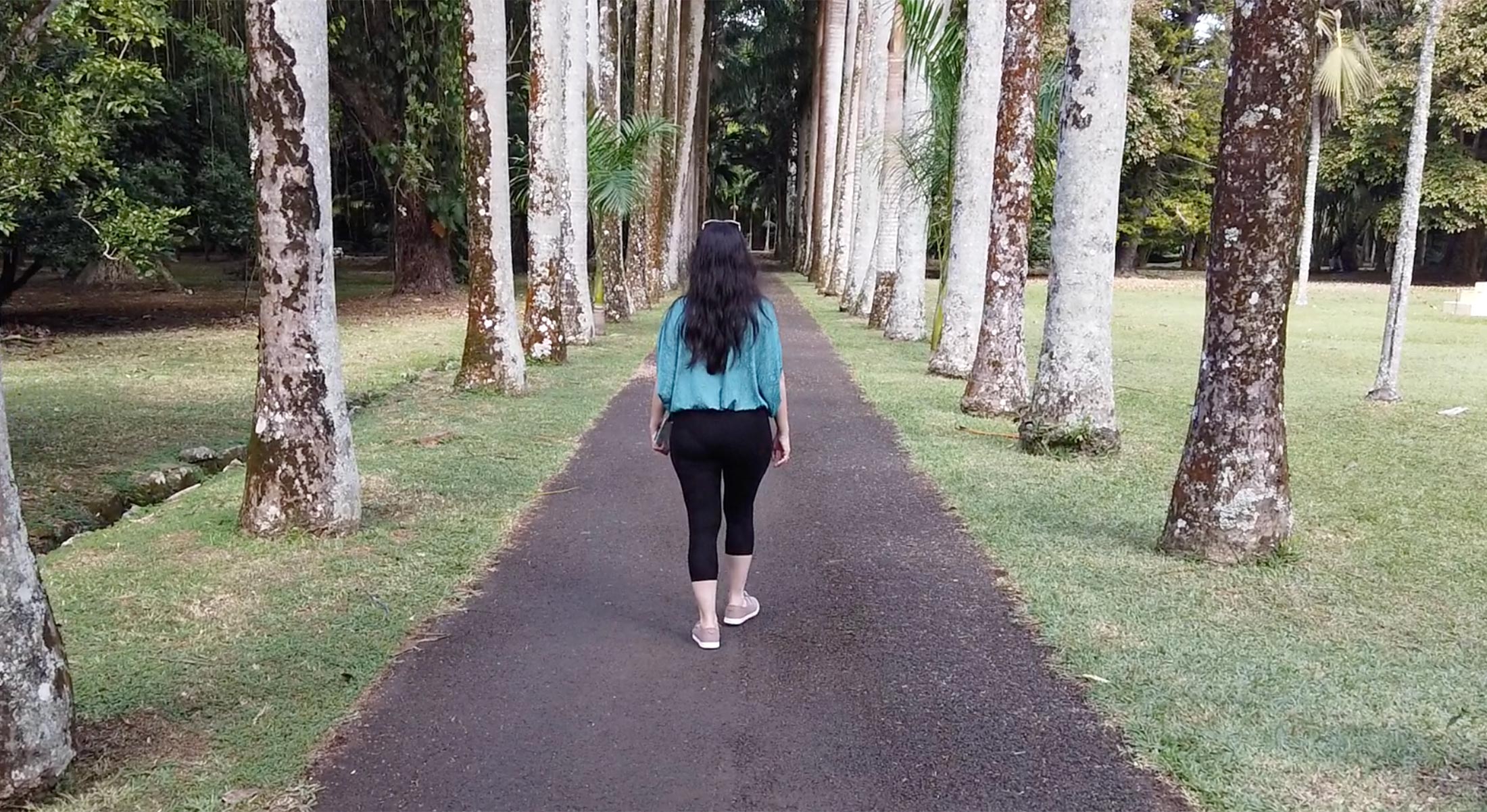 Bene walking Pamplemousses Gardens Palm Tree alley