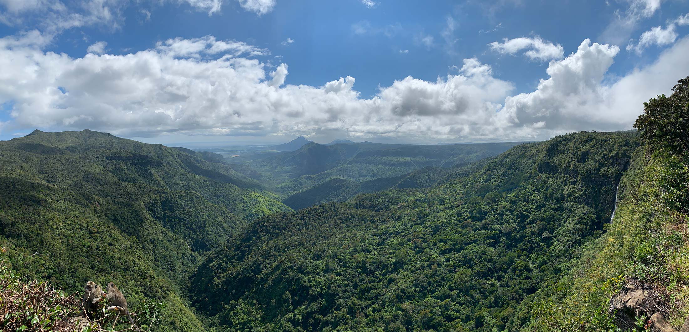Black river gorges viewpoint