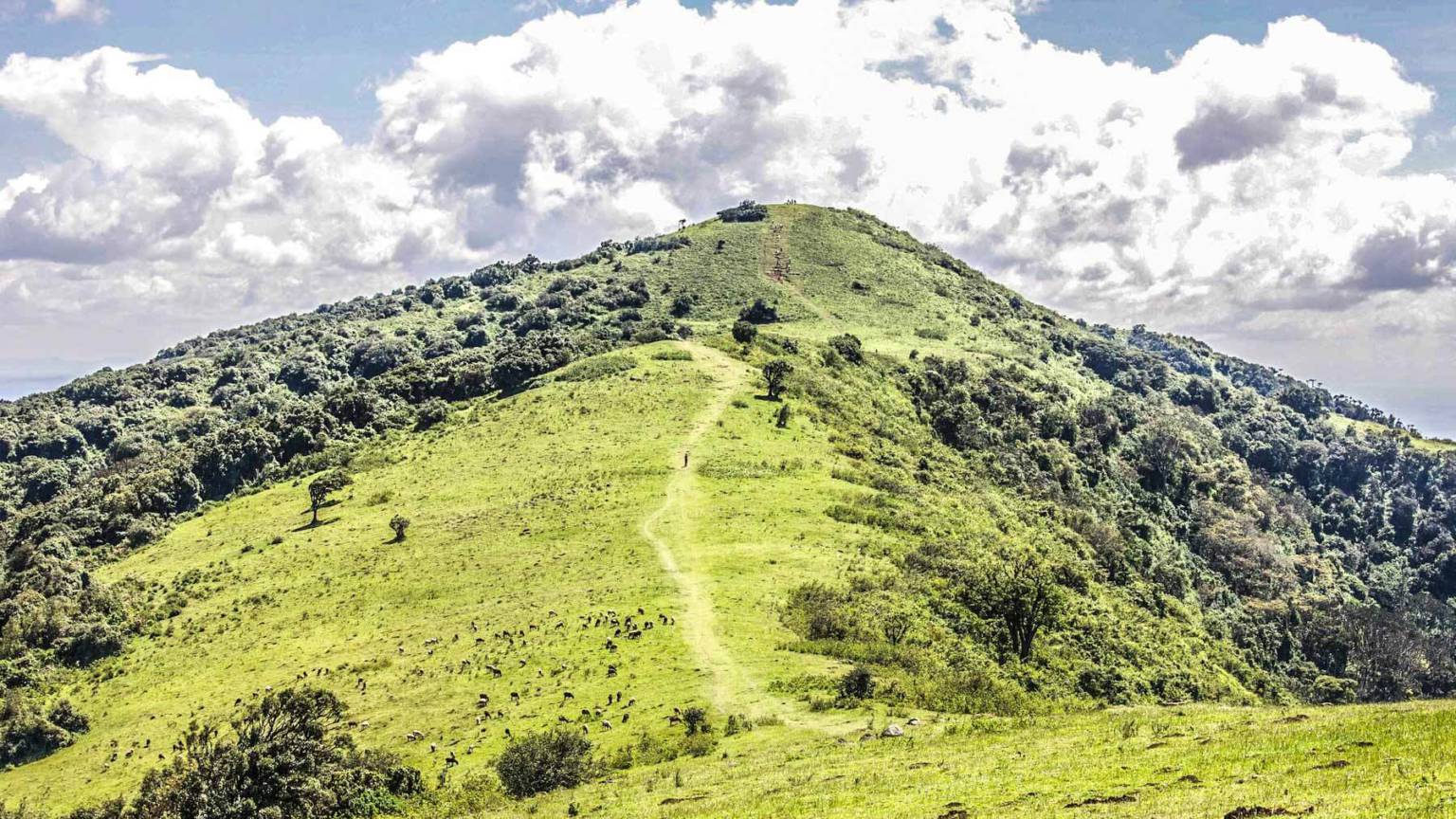 Top 10 things to do and see in Nairobi NomadsFix