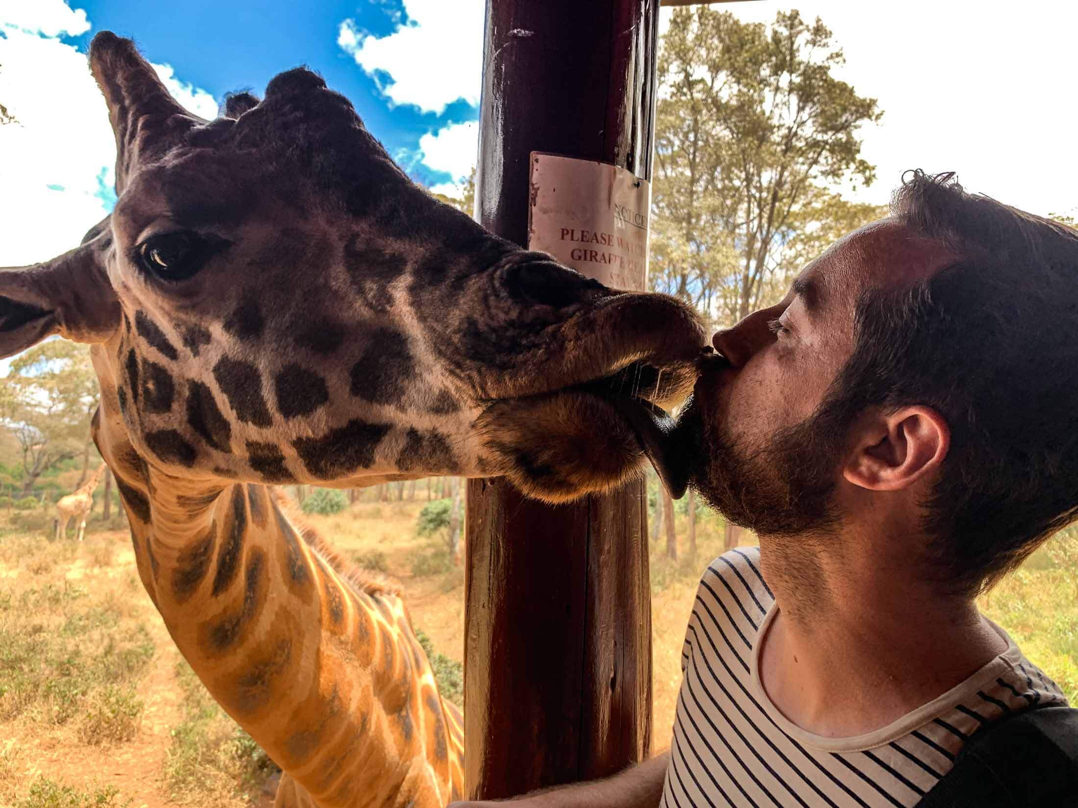 Guilly french kissing a giraffe at the Giraffe Centre in Nairobi, Kenya
