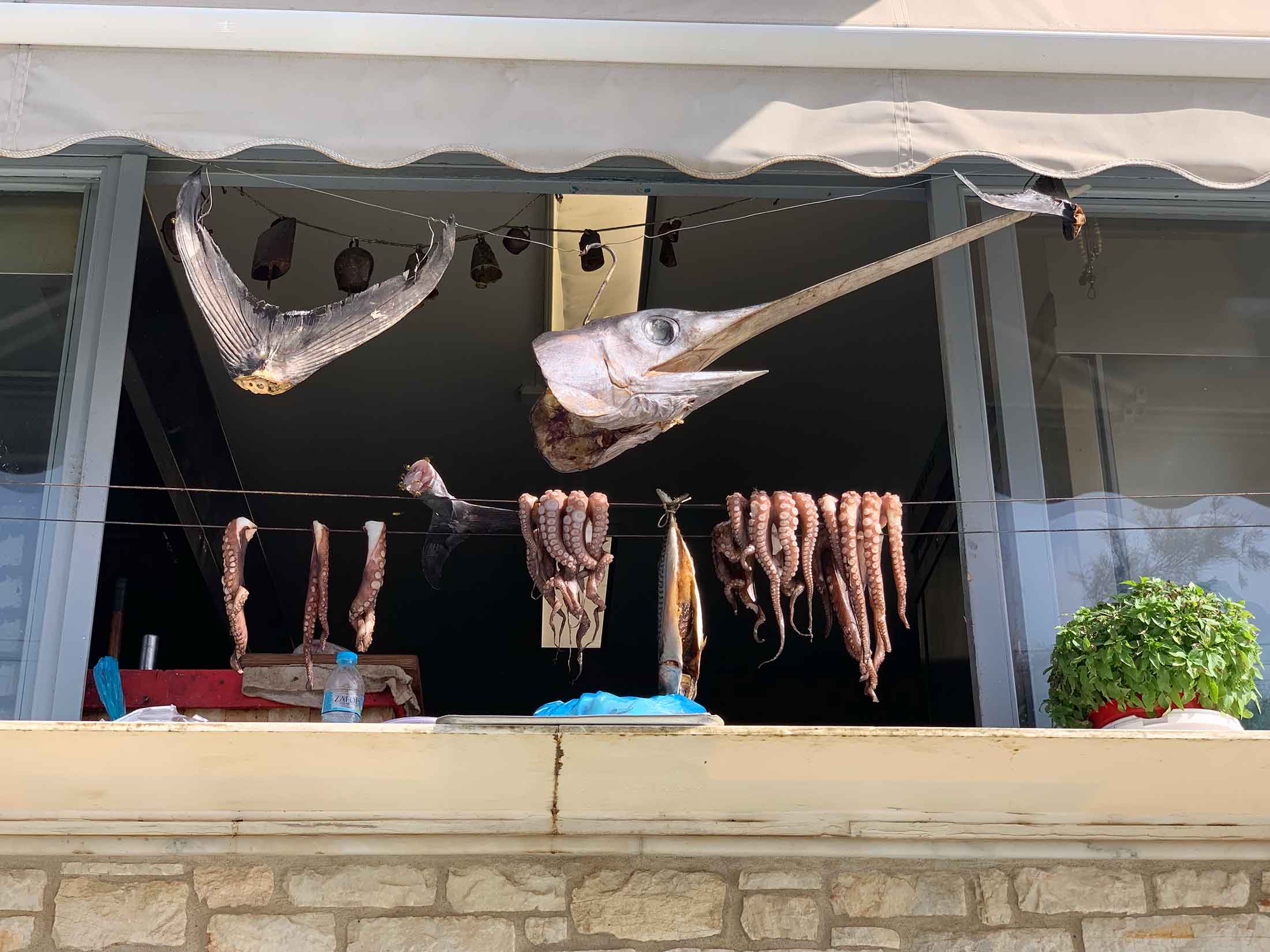 Agios Georgios seafood drying, Antiparos, Greece